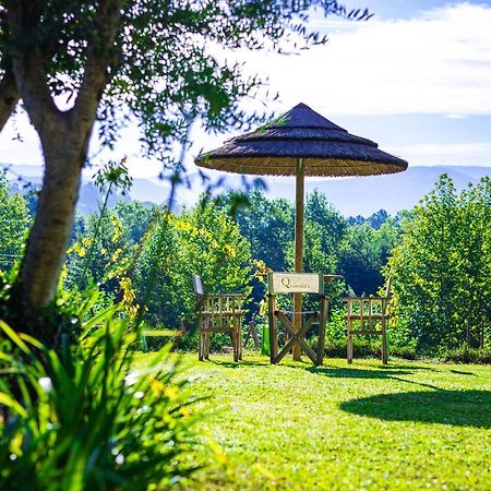 Quinta Da Chouza Agroturismo E Enoturismo Celorico De Basto Esterno foto