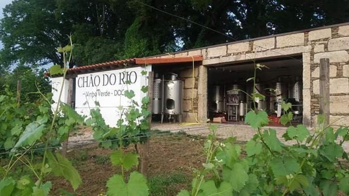 Quinta Da Chouza Agroturismo E Enoturismo Celorico De Basto Esterno foto