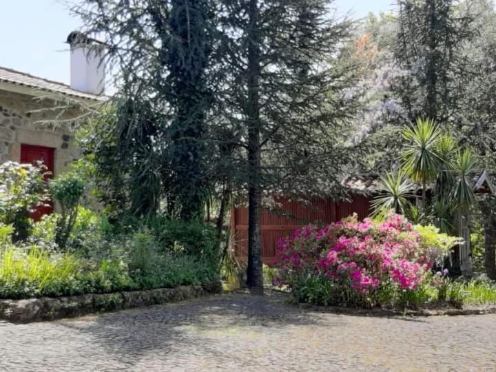 Quinta Da Chouza Agroturismo E Enoturismo Celorico De Basto Esterno foto