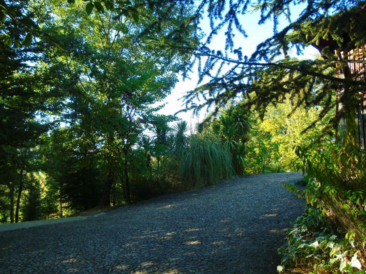 Quinta Da Chouza Agroturismo E Enoturismo Celorico De Basto Esterno foto