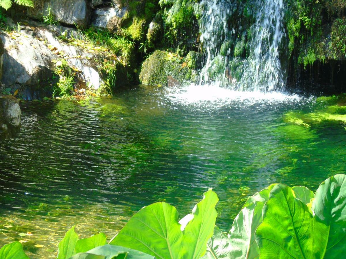 Quinta Da Chouza Agroturismo E Enoturismo Celorico De Basto Esterno foto