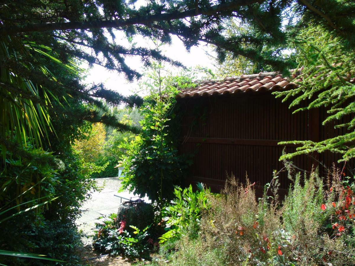 Quinta Da Chouza Agroturismo E Enoturismo Celorico De Basto Esterno foto