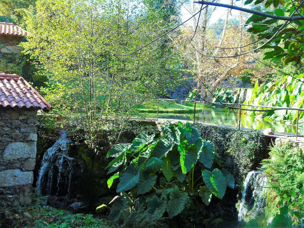 Quinta Da Chouza Agroturismo E Enoturismo Celorico De Basto Esterno foto