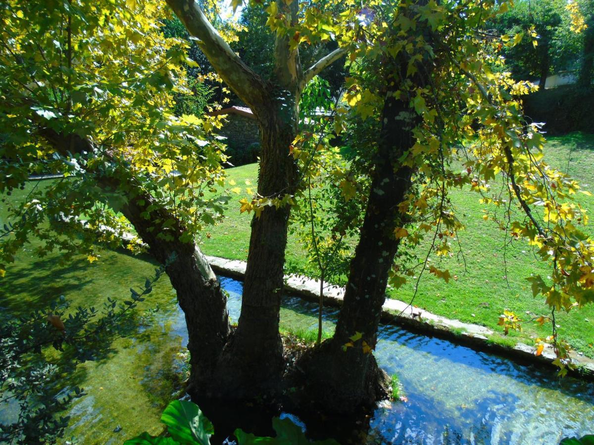 Quinta Da Chouza Agroturismo E Enoturismo Celorico De Basto Esterno foto